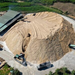 Alternative view of Dăm Gỗ Xuất Khẩu (Wood Chips) – Nguyên Liệu Bột Giấy & Sinh Khối