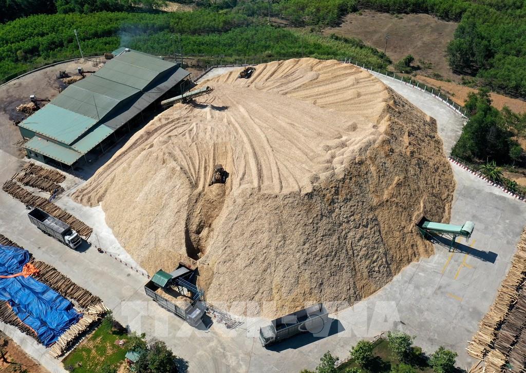 Dăm Gỗ Xuất Khẩu (Wood Chips) – Nguyên Liệu Bột Giấy & Sinh Khối - Ảnh 2