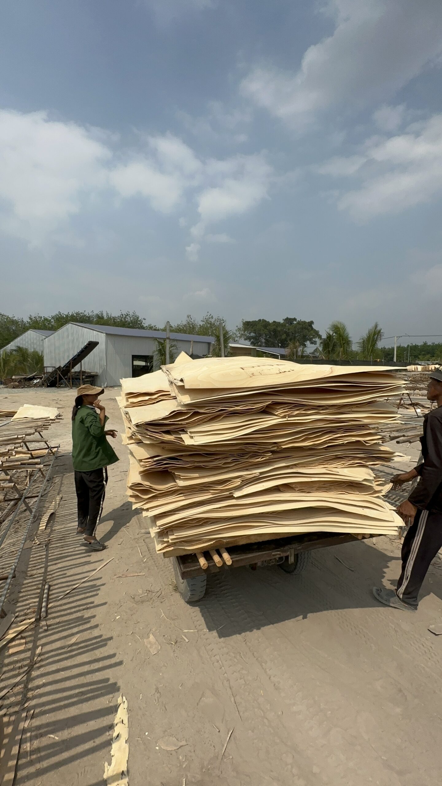 ván bóc cao su (rubberwood veneer / core veneer) – nguyên liệu sản xuất ván Ép ván bóc cao su (rubberwood veneer / core veneer) – nguyên liệu sản xuất ván Ép