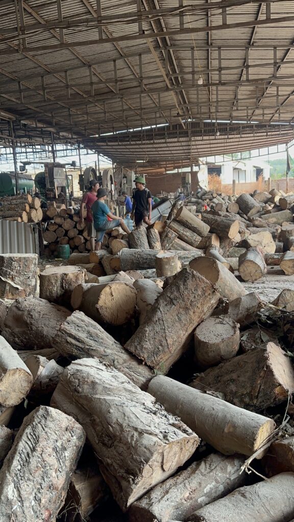 Phôi Gỗ Cao Su Xẻ Sấy (Kiln Dried Sawn Rubberwood) – Tiêu Chuẩn Xuất Khẩu phôi gỗ cao su xẻ sấy (kiln dried sawn rubberwood) – tiêu chuẩn xuất khẩu