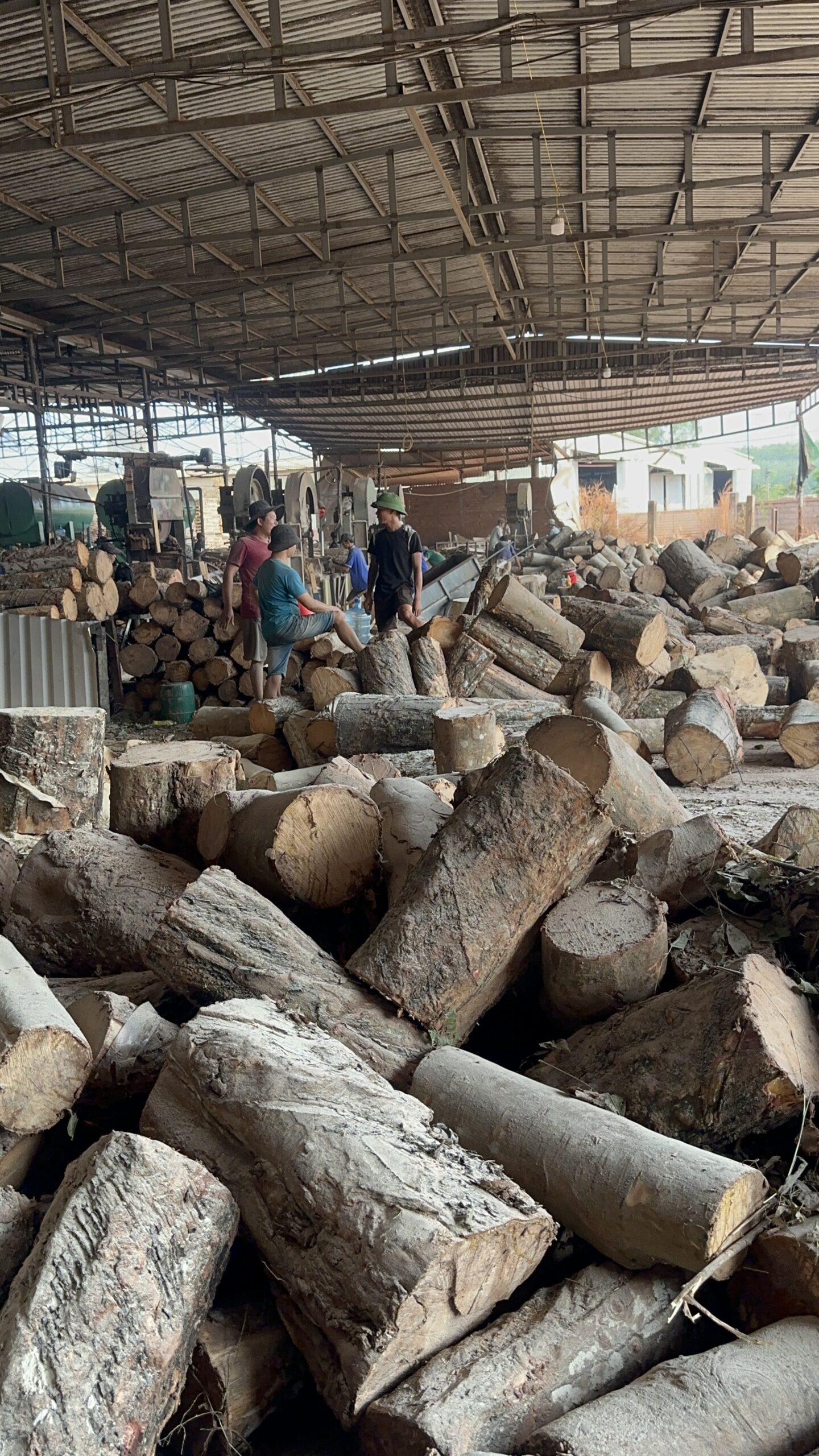 phôi gỗ cao su xẻ sấy (kiln dried sawn rubberwood) – tiêu chuẩn xuất khẩu phôi gỗ cao su xẻ sấy (kiln dried sawn rubberwood) – tiêu chuẩn xuất khẩu