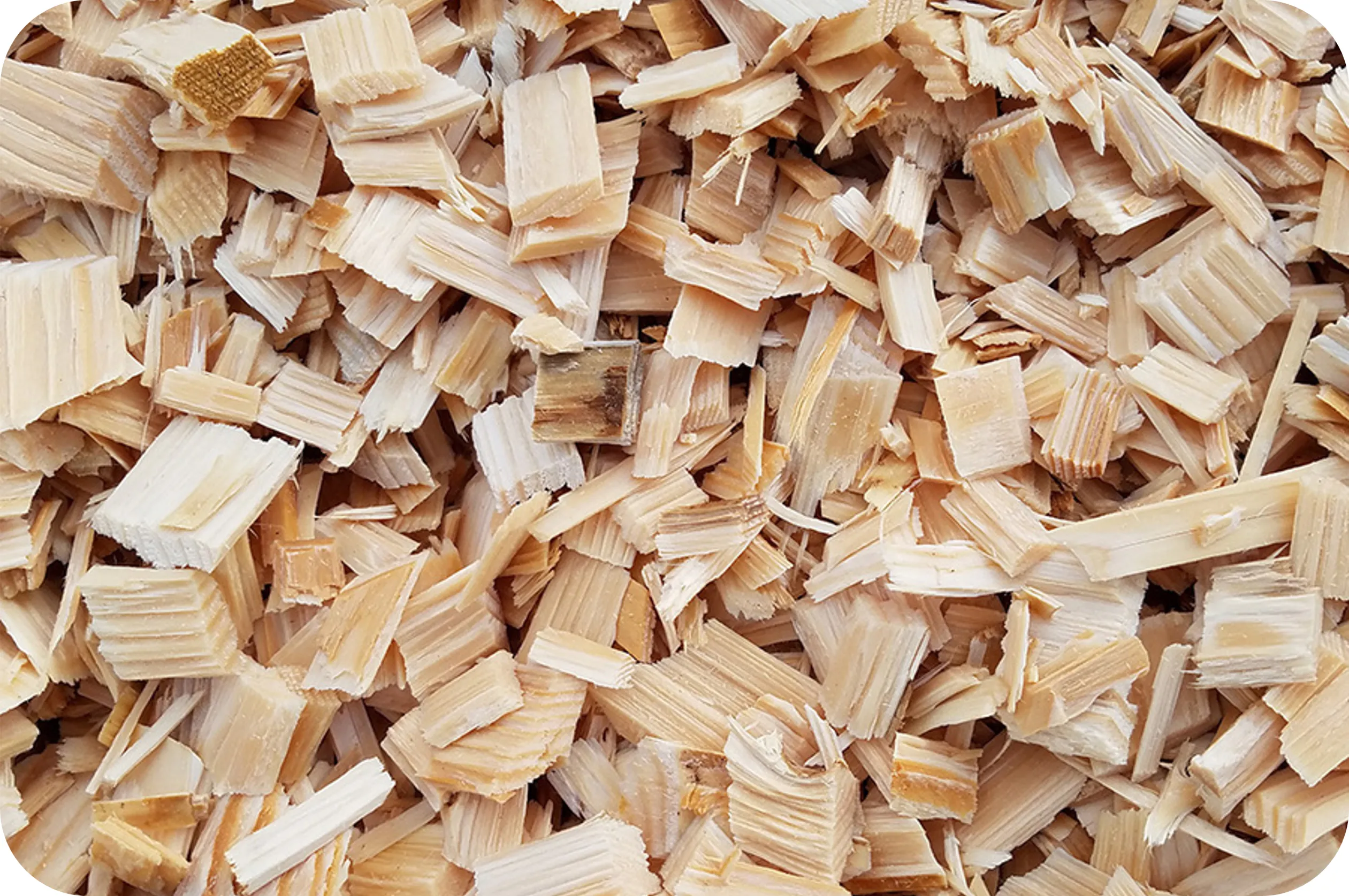 Dăm Gỗ Xuất Khẩu (Wood Chips) – Nguyên Liệu Bột Giấy & Sinh Khối - Ảnh 6