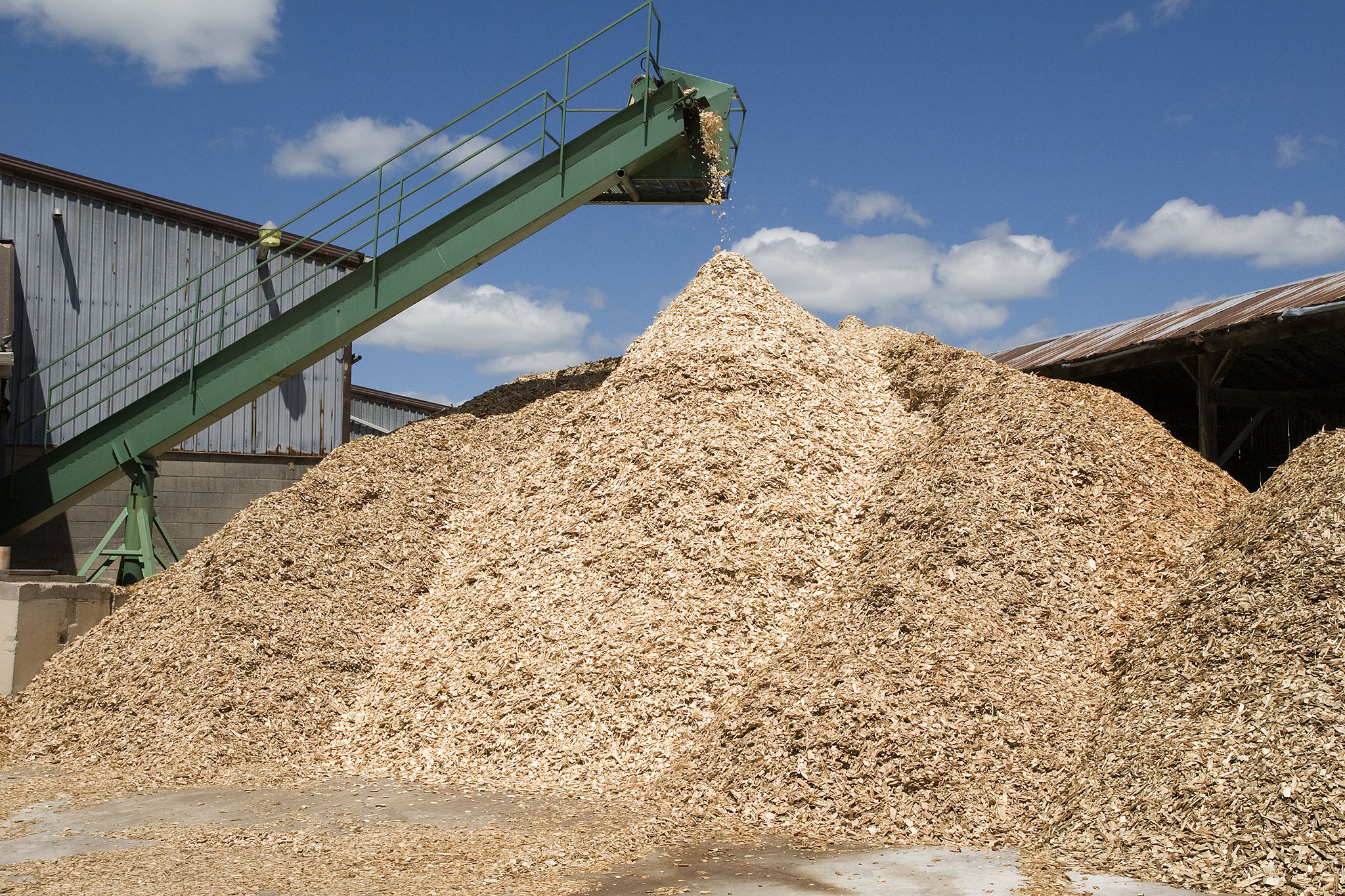 Dăm Gỗ Xuất Khẩu (Wood Chips) – Nguyên Liệu Bột Giấy & Sinh Khối - Ảnh 4