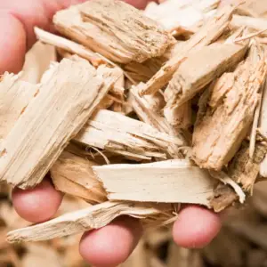Dăm Gỗ Xuất Khẩu (Wood Chips) – Nguyên Liệu Bột Giấy & Sinh Khối