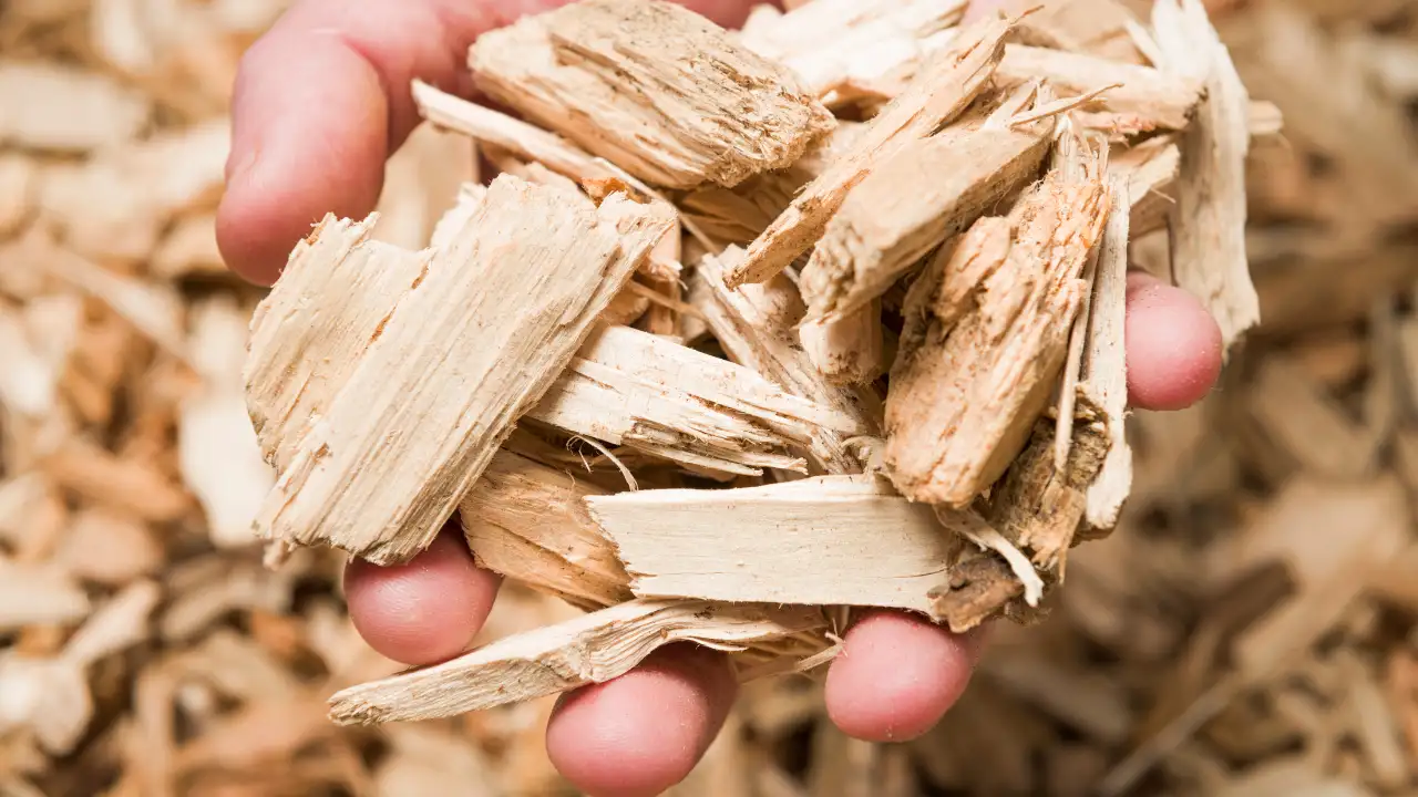 Dăm Gỗ Xuất Khẩu (Wood Chips) – Nguyên Liệu Bột Giấy & Sinh Khối