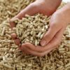 Viên Nén Gỗ & Củi Mùn Cưa Ép (Wood Pellets & Briquettes) – Năng Lượng Xanh Xuất Khẩu