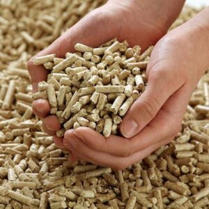 Viên Nén Gỗ & Củi Mùn Cưa Ép (Wood Pellets & Briquettes) – Năng Lượng Xanh Xuất Khẩu
